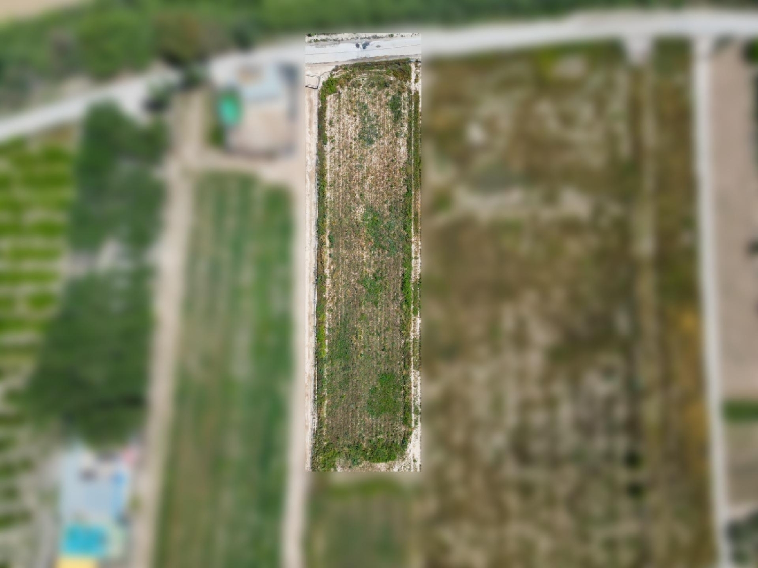 till salu tomt Cieza Vega Alta Del Segura 3