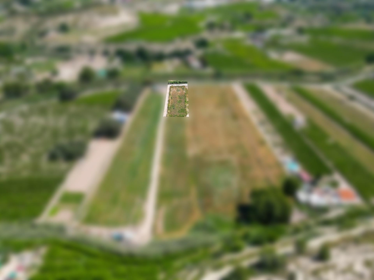 till salu tomt Cieza Vega Alta Del Segura 8