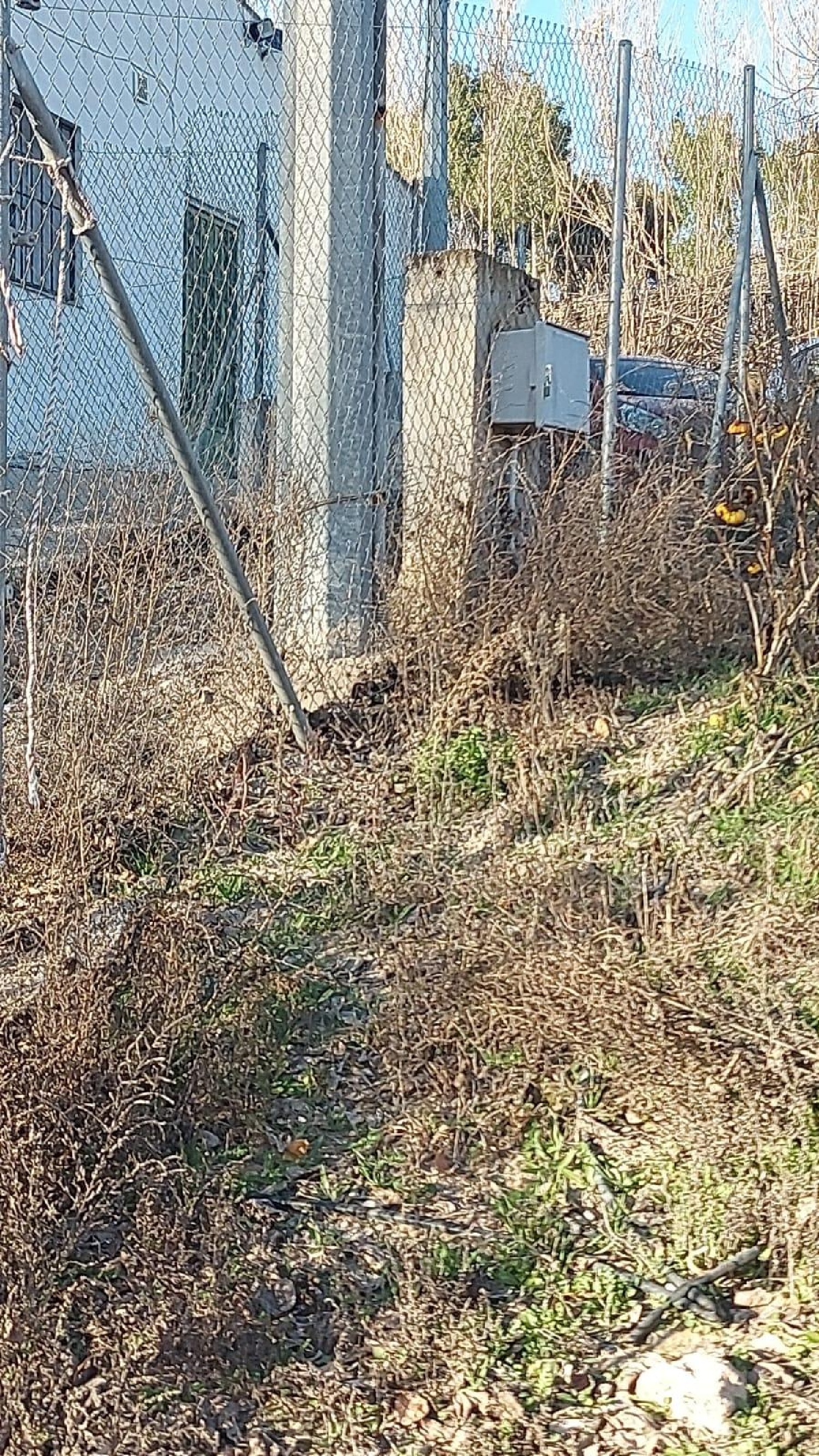 till salu tomt Cieza Vega Alta Del Segura 6