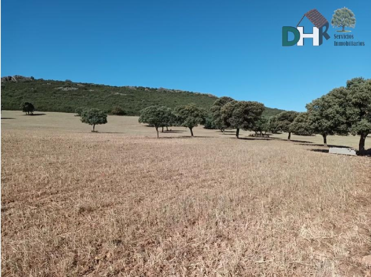 for sale plot Ciudad Real Centro-El Pilar Campo De Calatrava 2