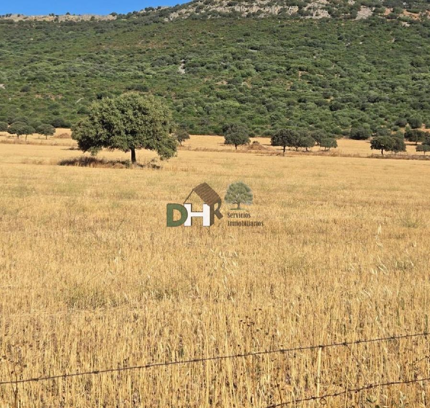 for sale plot Ciudad Real Centro-El Pilar Campo De Calatrava 8