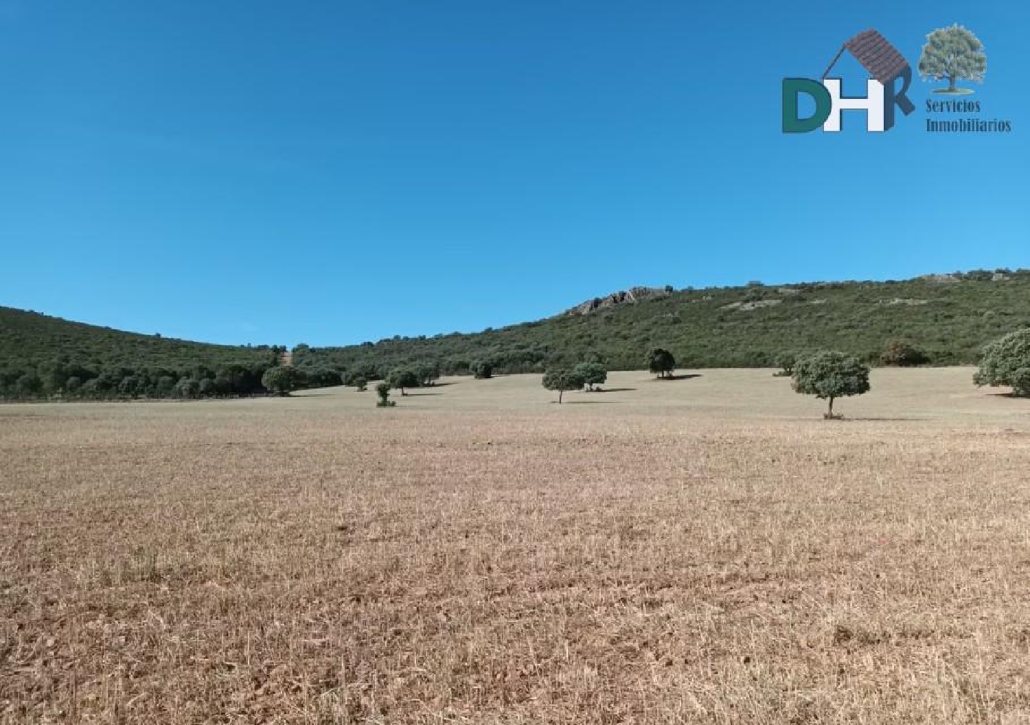 for sale plot Ciudad Real Centro-El Pilar Campo De Calatrava 3