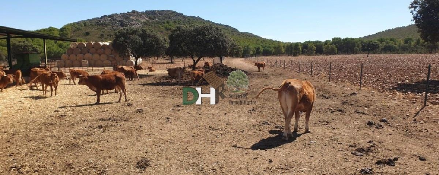 for sale plot Ciudad Real Centro-El Pilar Campo De Calatrava 7