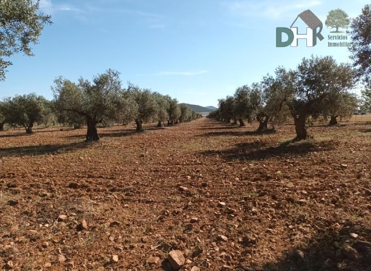 for sale plot Ciudad Real Centro-El Pilar Campo De Calatrava 5