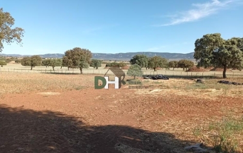 Ciudad Real Centro-El Pilar Campo De Calatrava plot foto 6324473