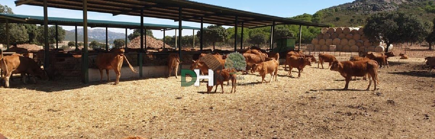 for sale plot Ciudad Real Centro-El Pilar Campo De Calatrava 6