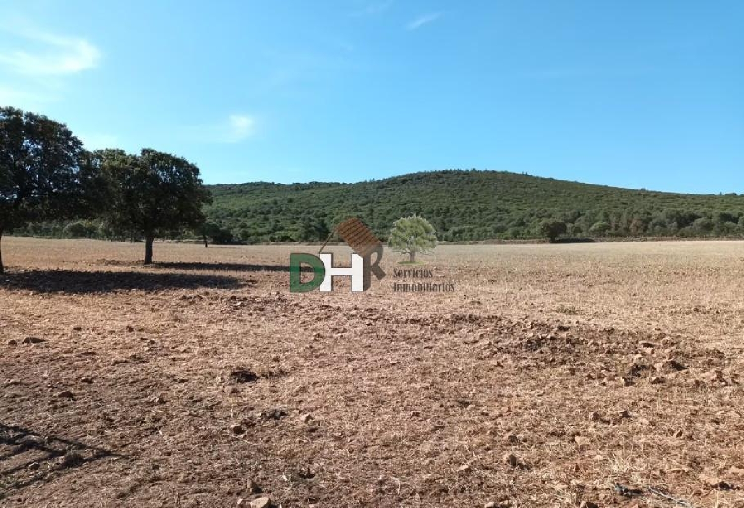 for sale plot Ciudad Real Centro-El Pilar Campo De Calatrava 4