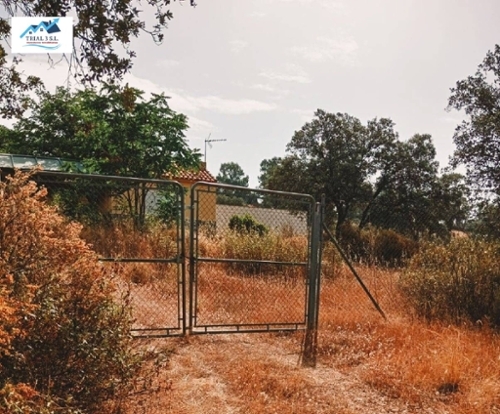 Ciudad Real Centro-El Pilar Campo De Calatrava perceel foto 6340988