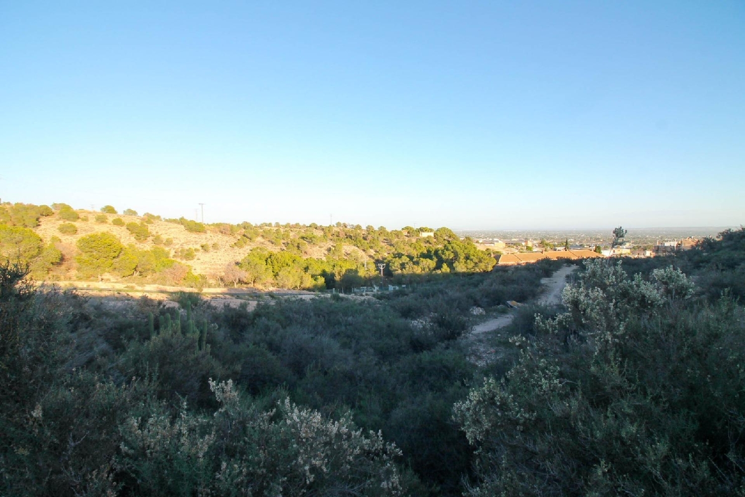  te koop perceel Crevillent Baix Vinalopó 4