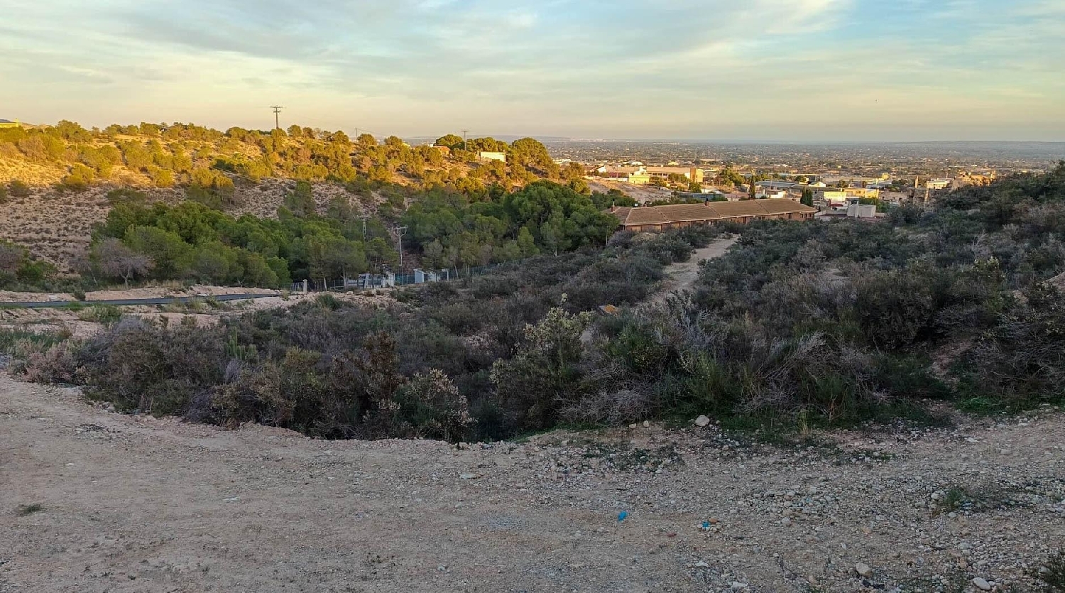  te koop perceel Crevillent Baix Vinalopó 1