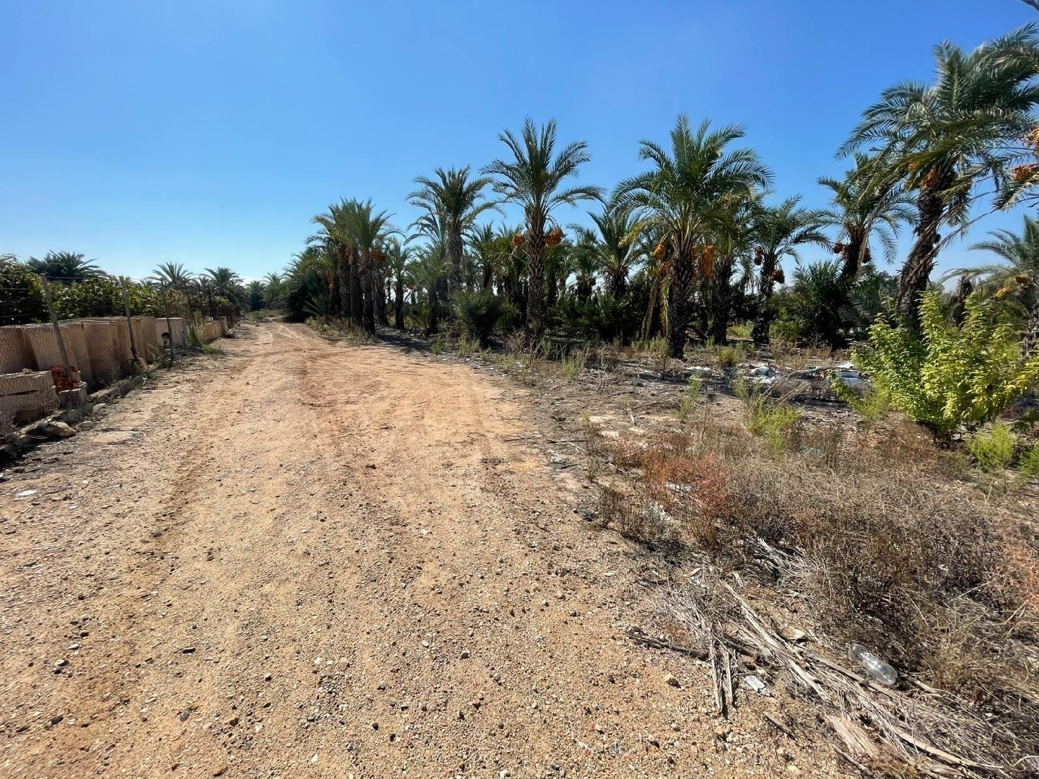  en venta terreno Crevillent Baix Vinalopó 1