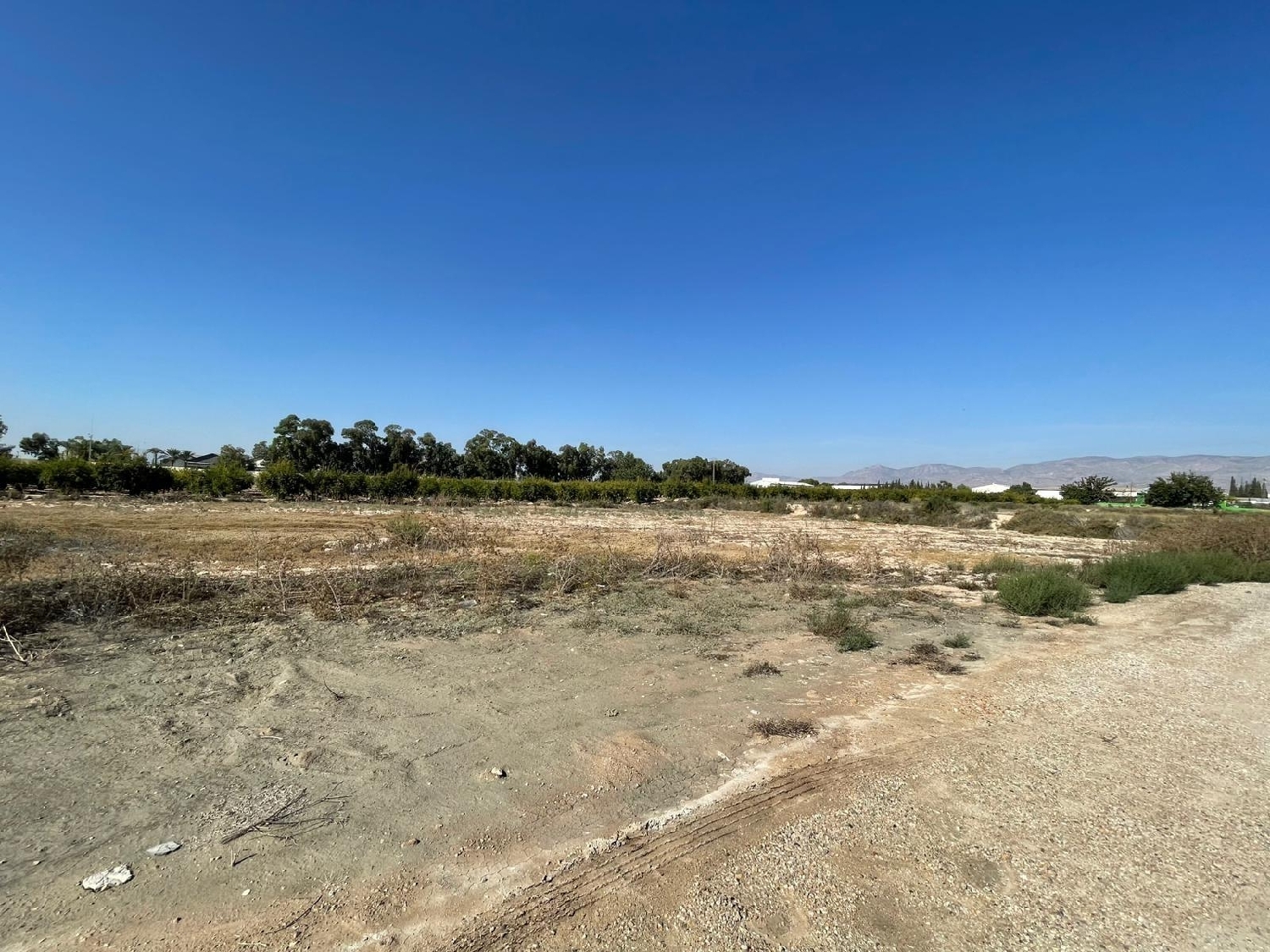  en venta terreno Crevillent Baix Vinalopó 3