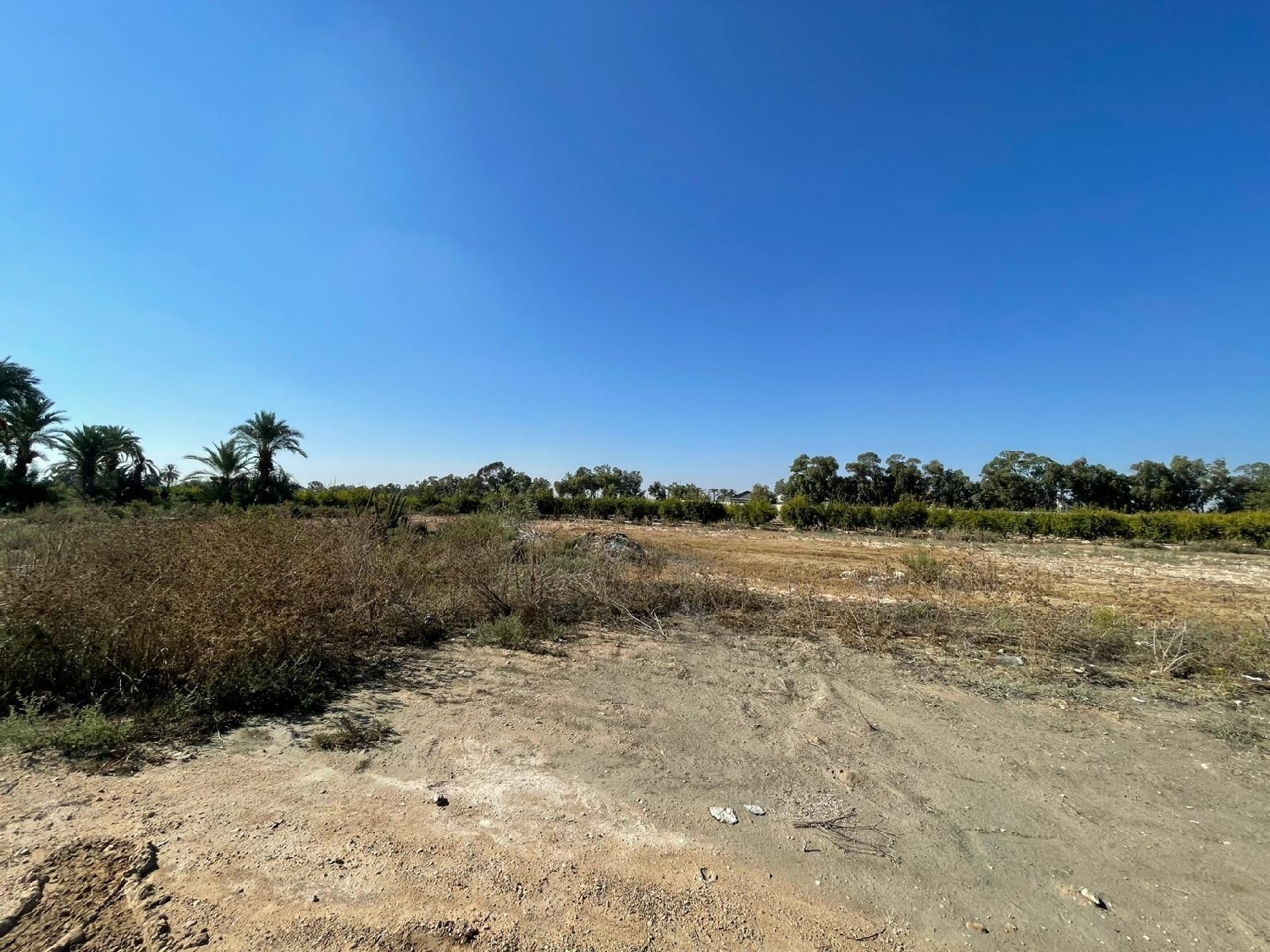  en venta terreno Crevillent Baix Vinalopó 2