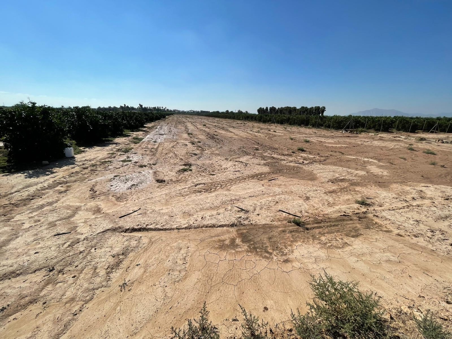  en venta terreno Crevillent Baix Vinalopó 1