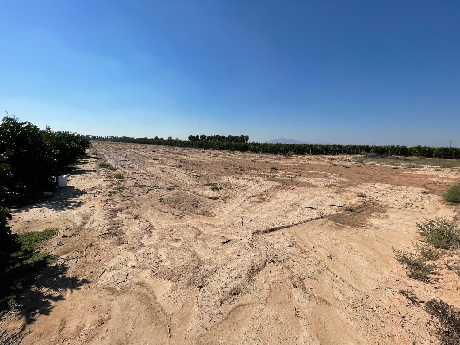  en venta terreno Crevillent Baix Vinalopó 3