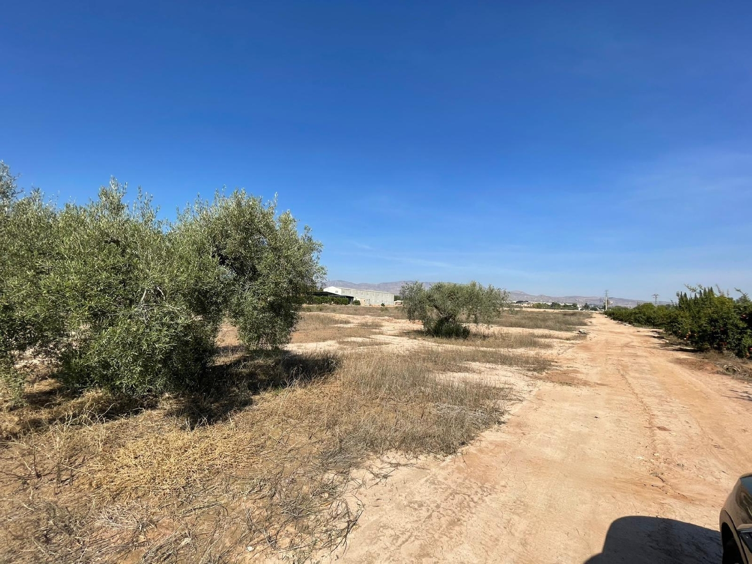  en venta terreno Crevillent Baix Vinalopó 2