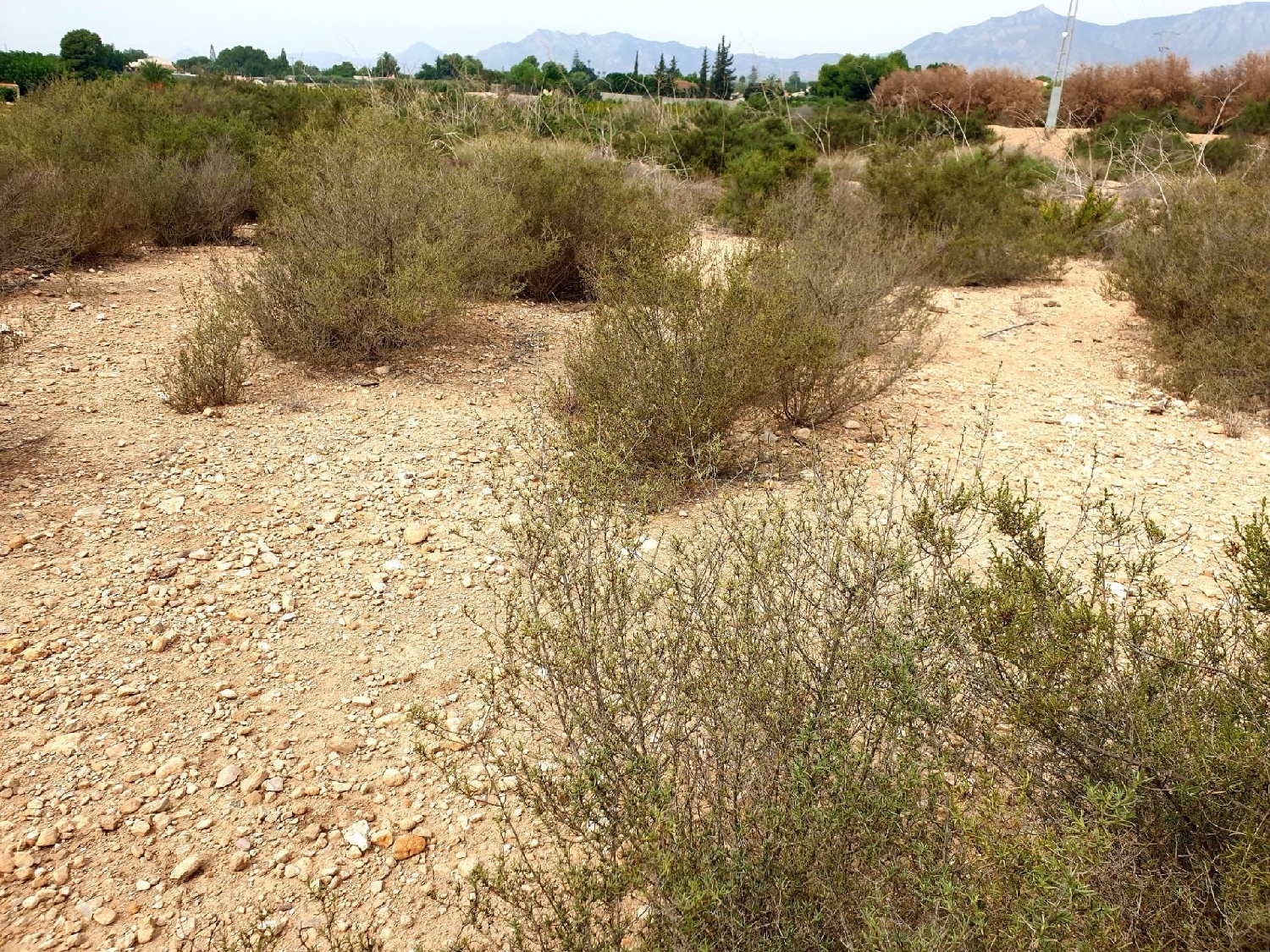 till salu tomt Crevillent Baix Vinalopó 3