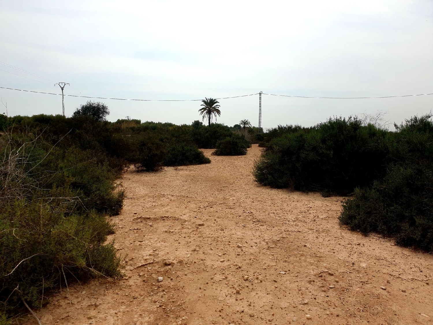 till salu tomt Crevillent Baix Vinalopó 1