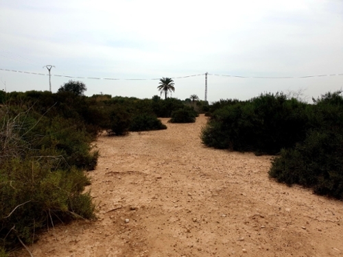 Crevillent Baix Vinalopó tomt foto 6335926