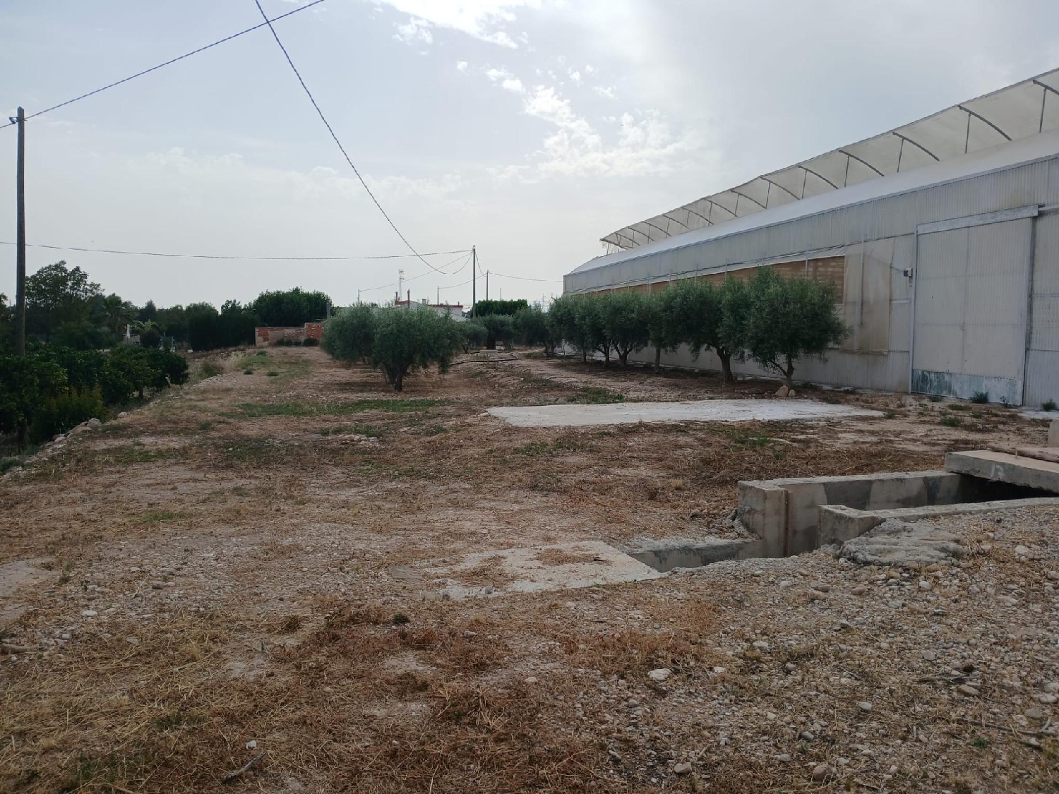  te koop perceel Crevillent Baix Vinalopó 8