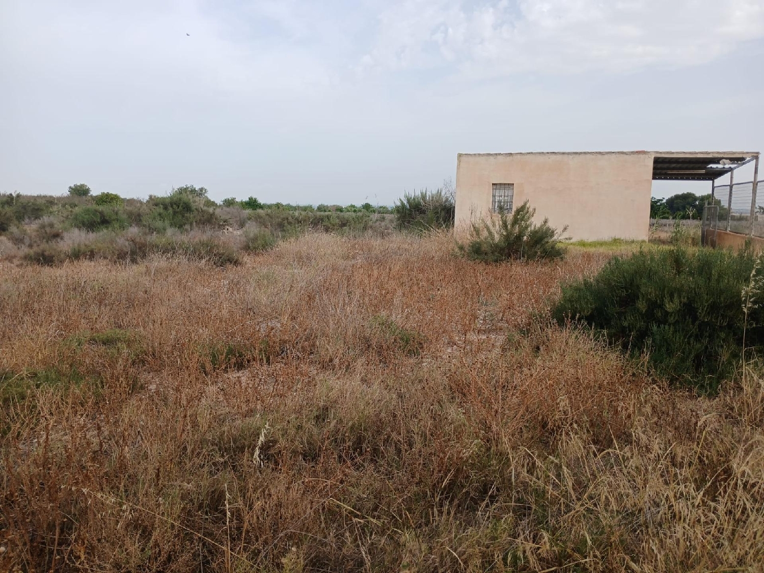  te koop perceel Crevillent Baix Vinalopó 6