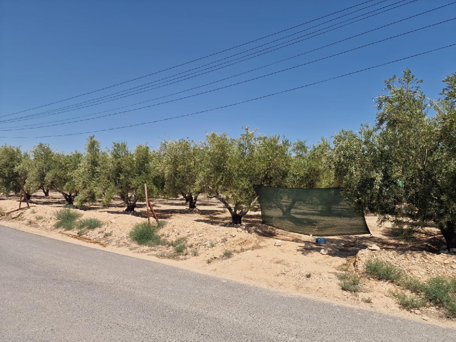 till salu tomt Crevillent Baix Vinalopó 4