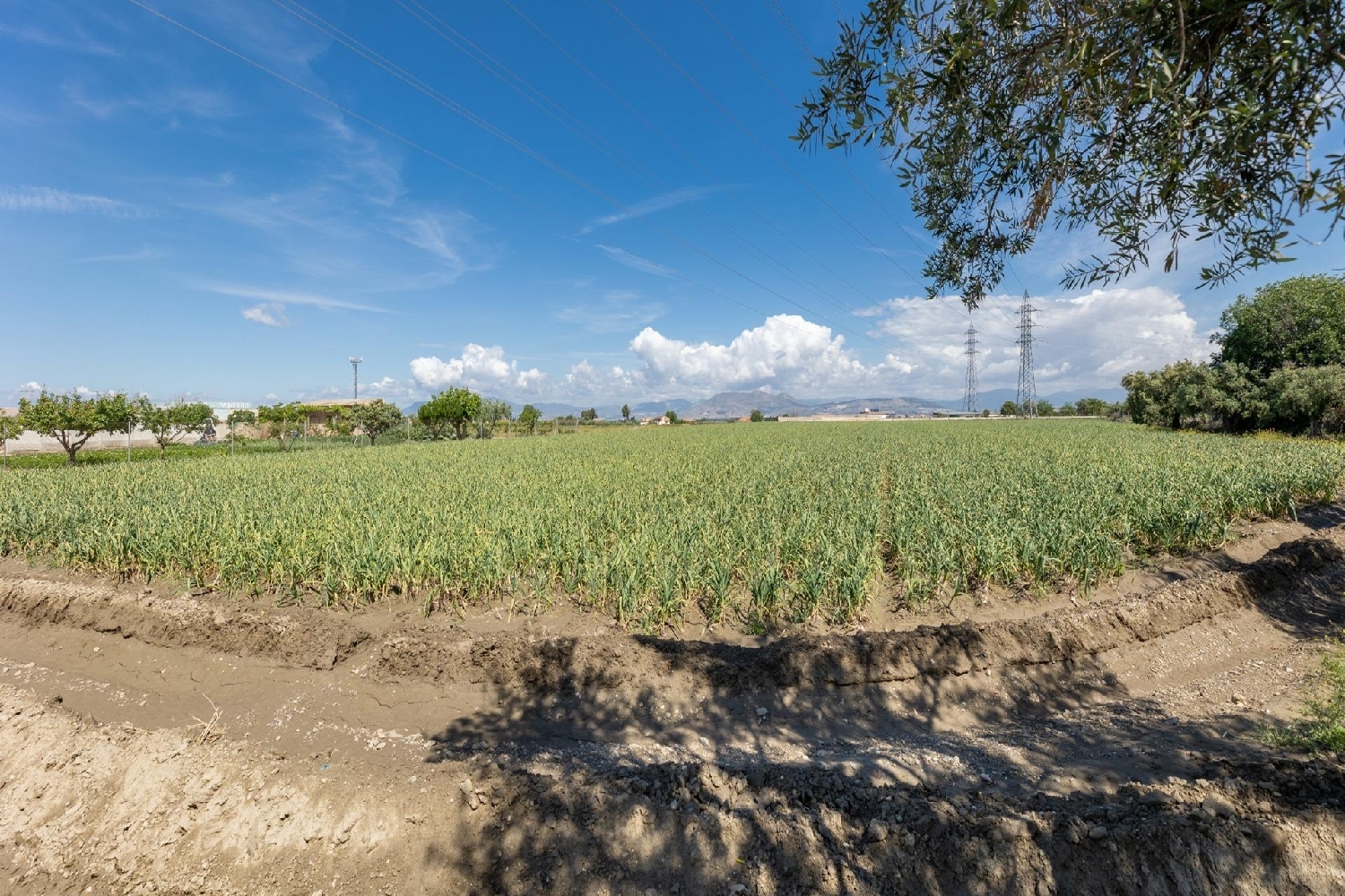  till salu tomt Cúllar Vega Vega De Granada 6