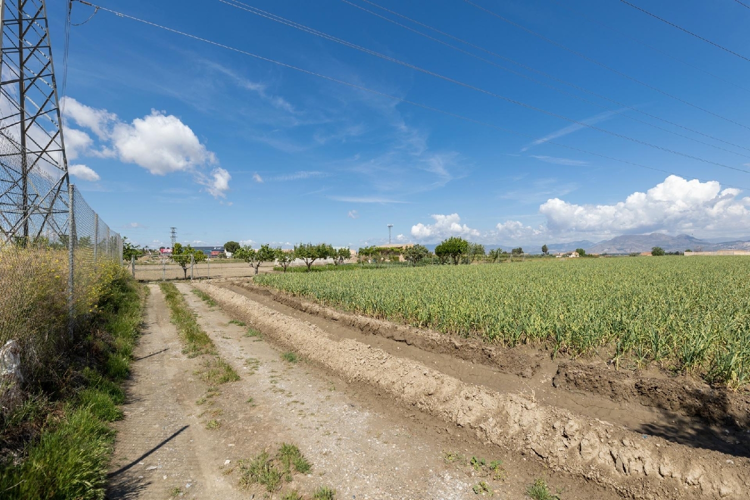  till salu tomt Cúllar Vega Vega De Granada 5