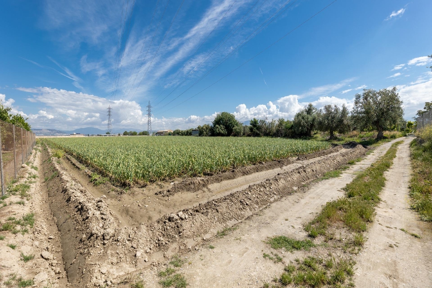 till salu tomt Cúllar Vega Vega De Granada 7