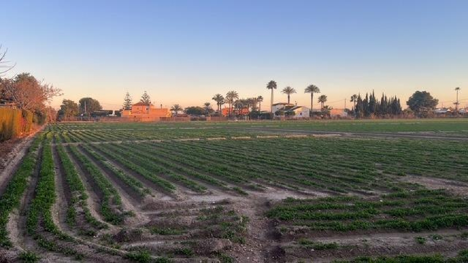  till salu tomt Dolores Baix Segura 6