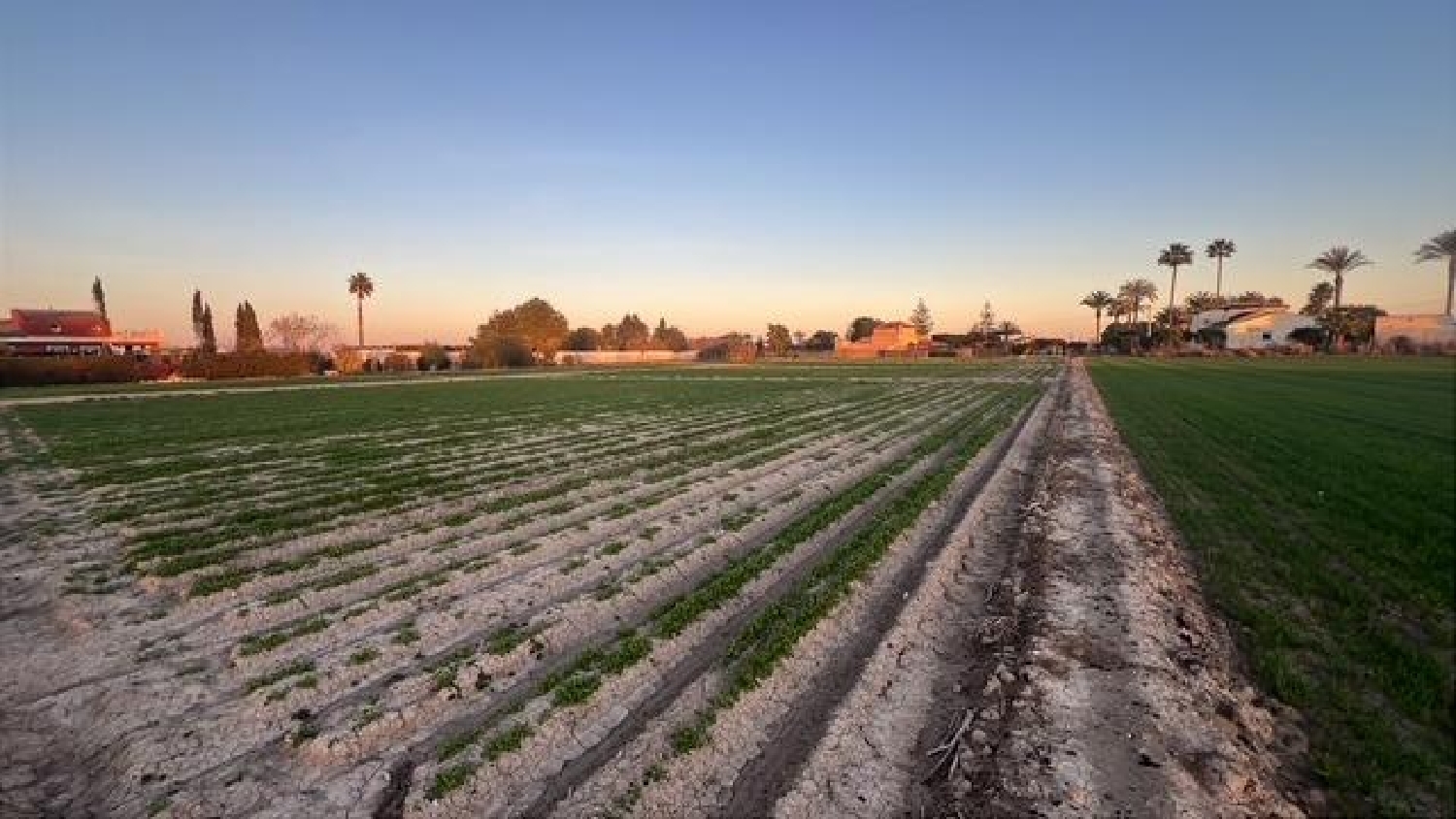  till salu tomt Dolores Baix Segura 3