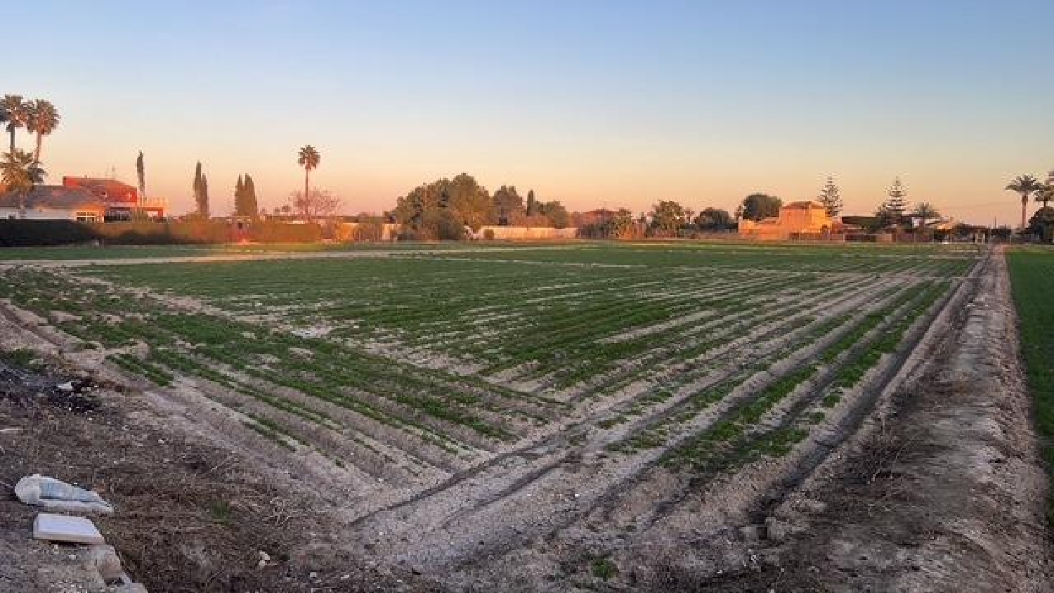  till salu tomt Dolores Baix Segura 7