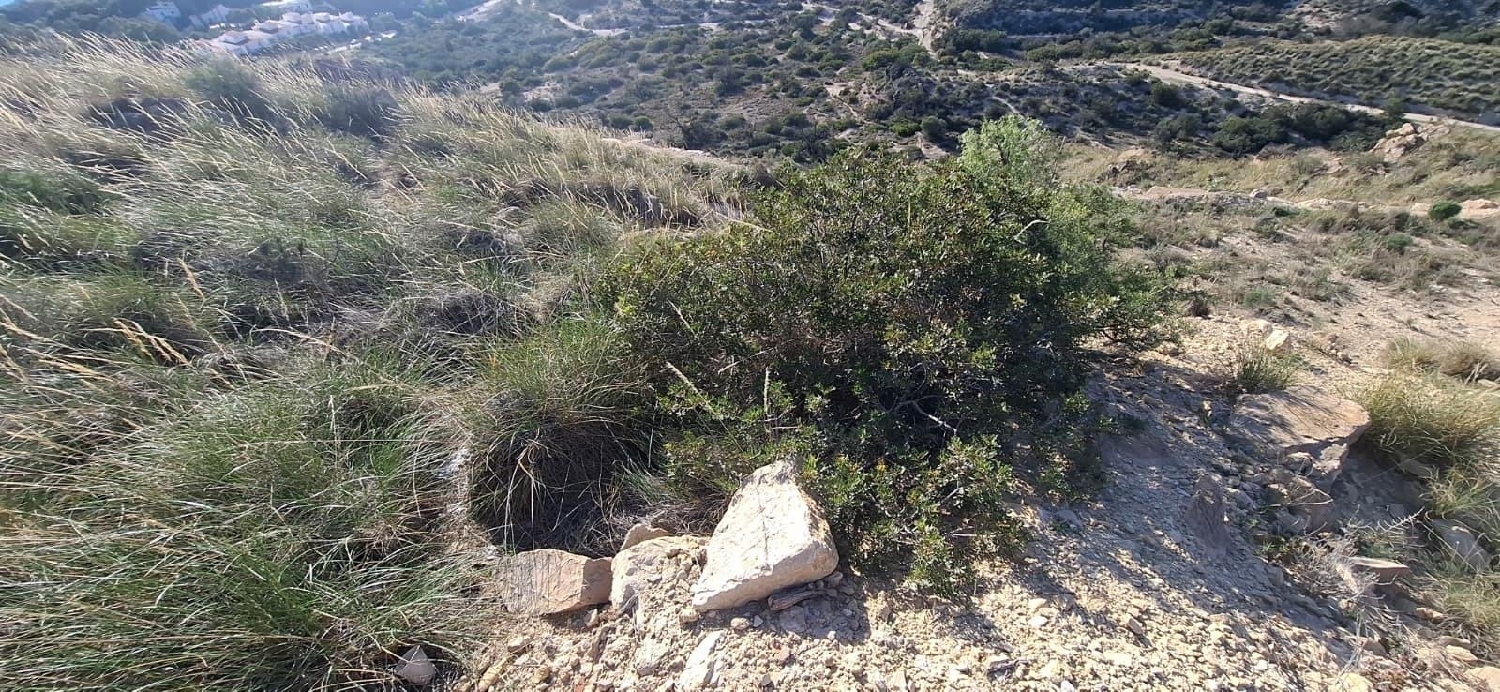  te koop perceel El Campello Alacantí 3