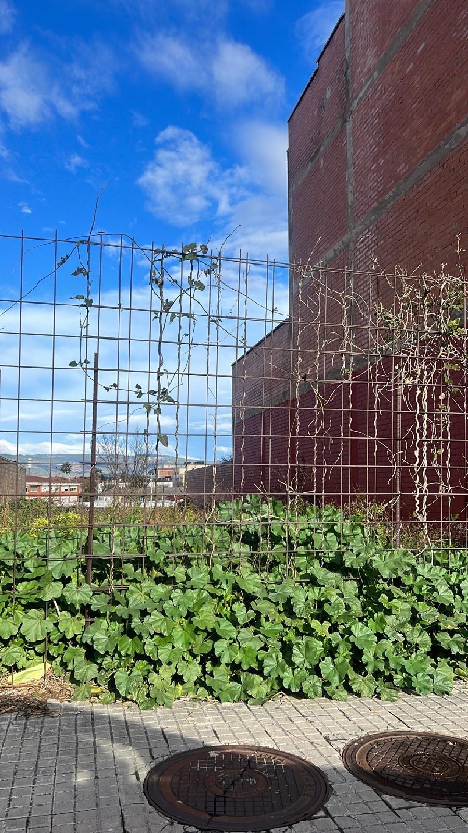  en venta terreno El Morell Tarragonès 1