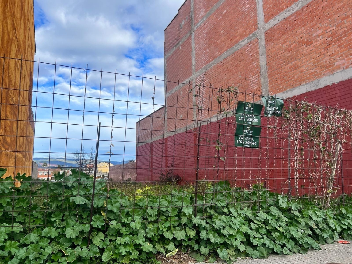  en venta terreno El Morell Tarragonès 4