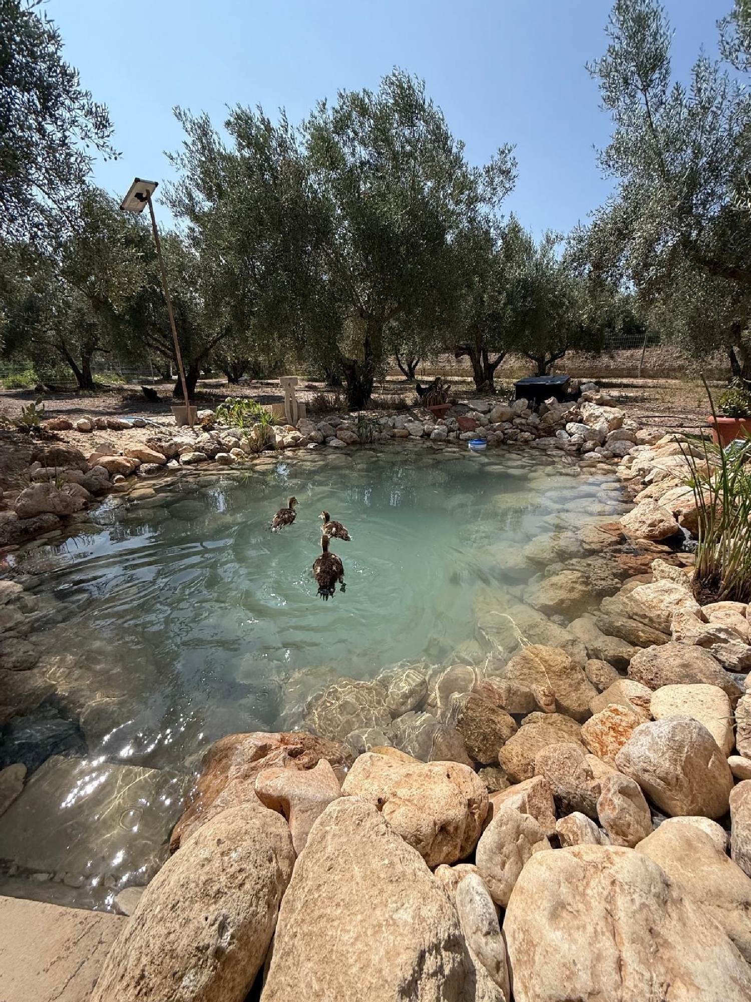  en venta terreno Enguera Canal De Navarrés 2