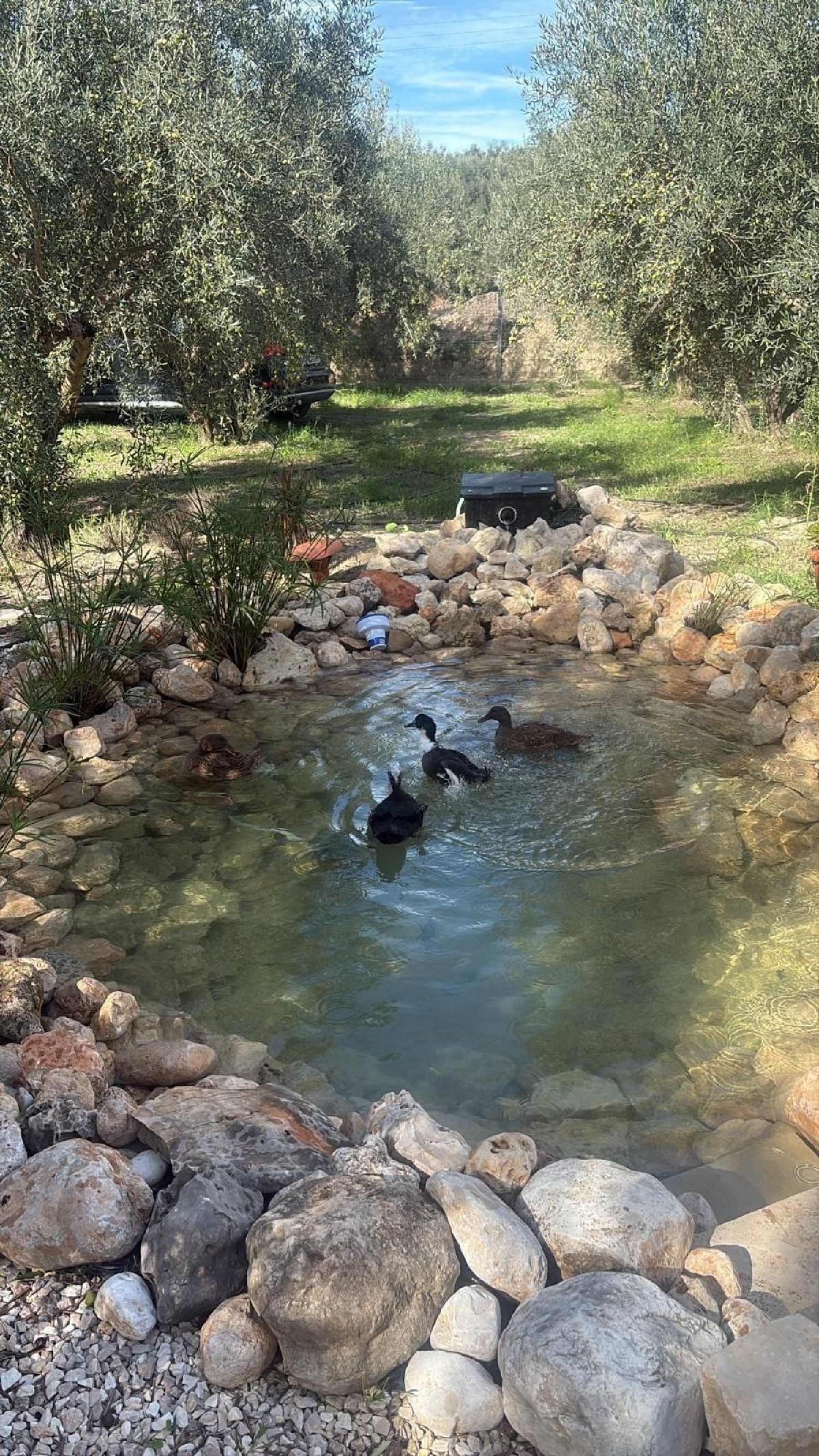  en venta terreno Enguera Canal De Navarrés 1