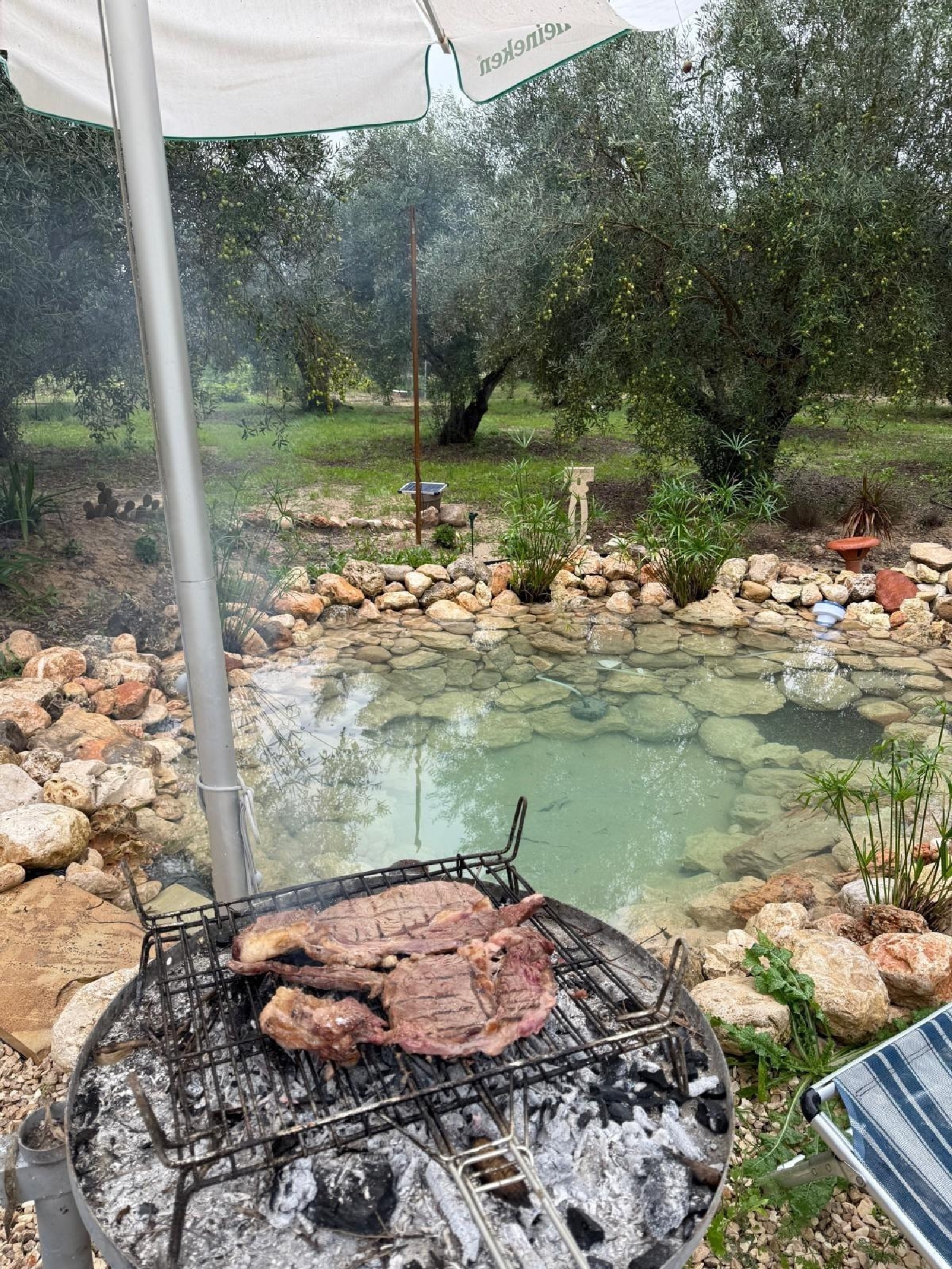  en venta terreno Enguera Canal De Navarrés 4