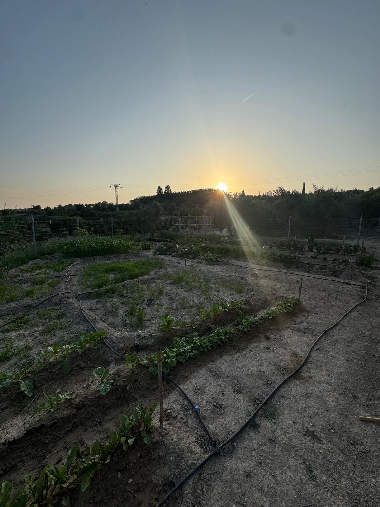  en venta terreno Enguera Canal De Navarrés 6