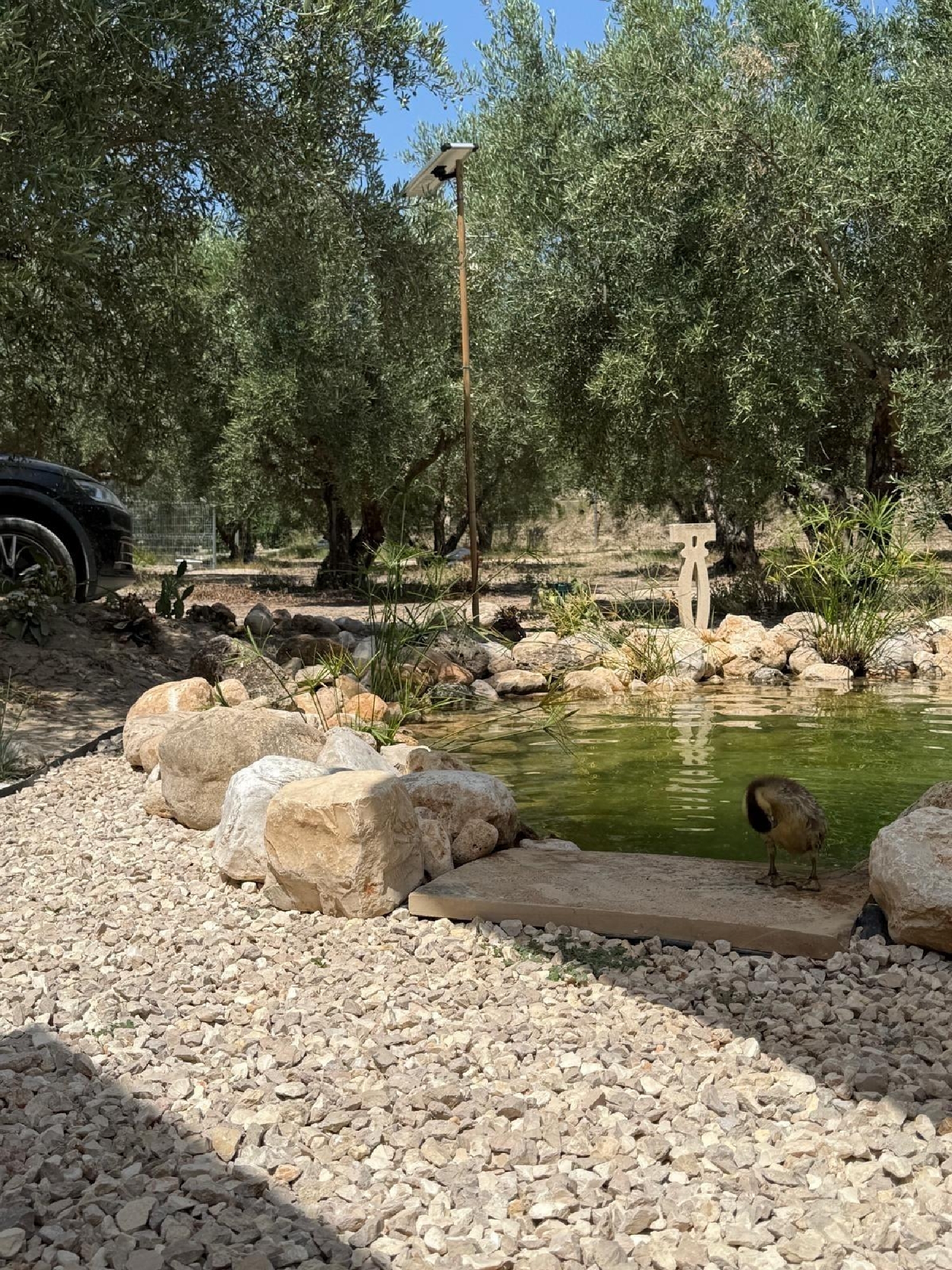  en venta terreno Enguera Canal De Navarrés 3