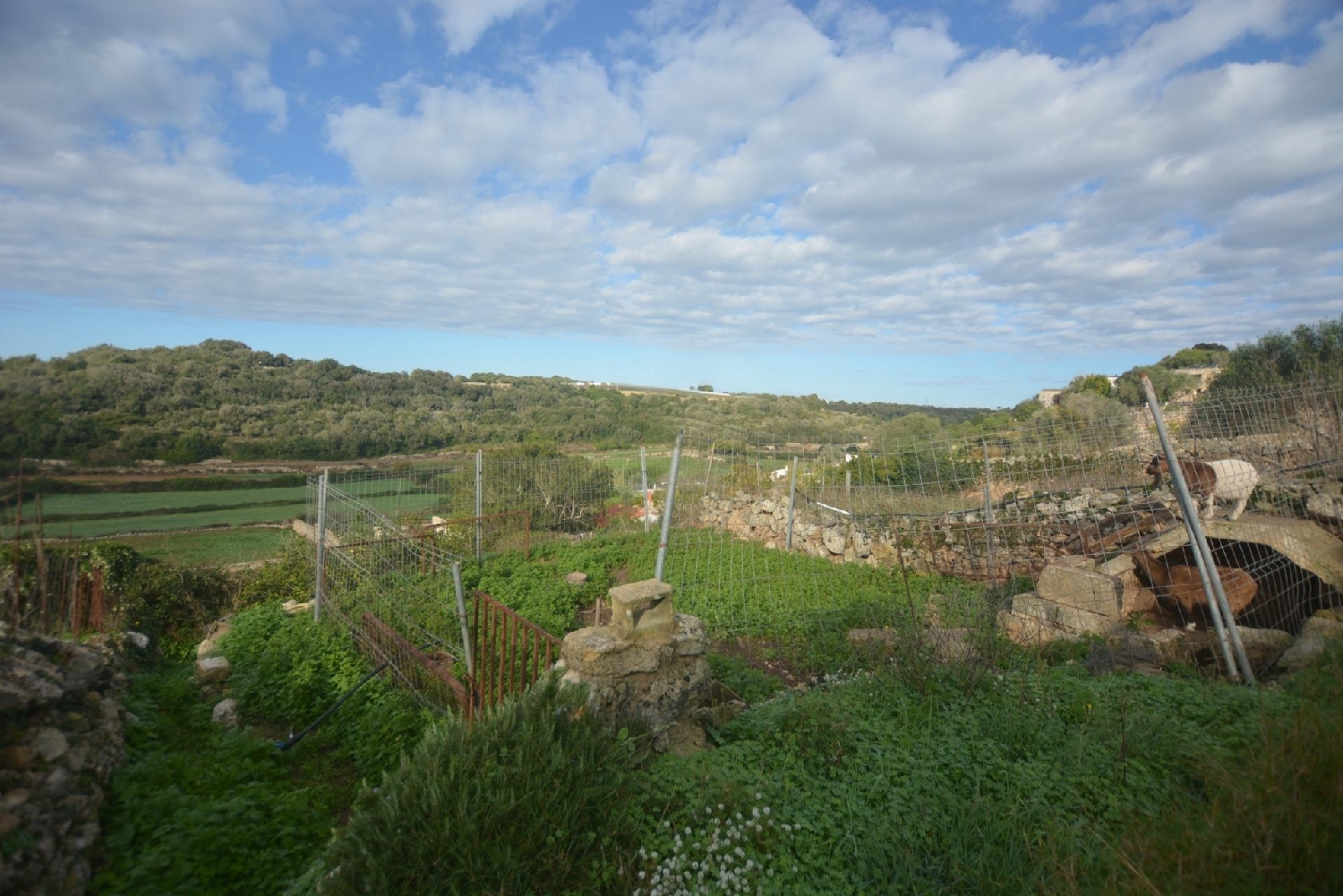  for sale plot Es Migjorn Gran Migjorn Gran (Es) 1