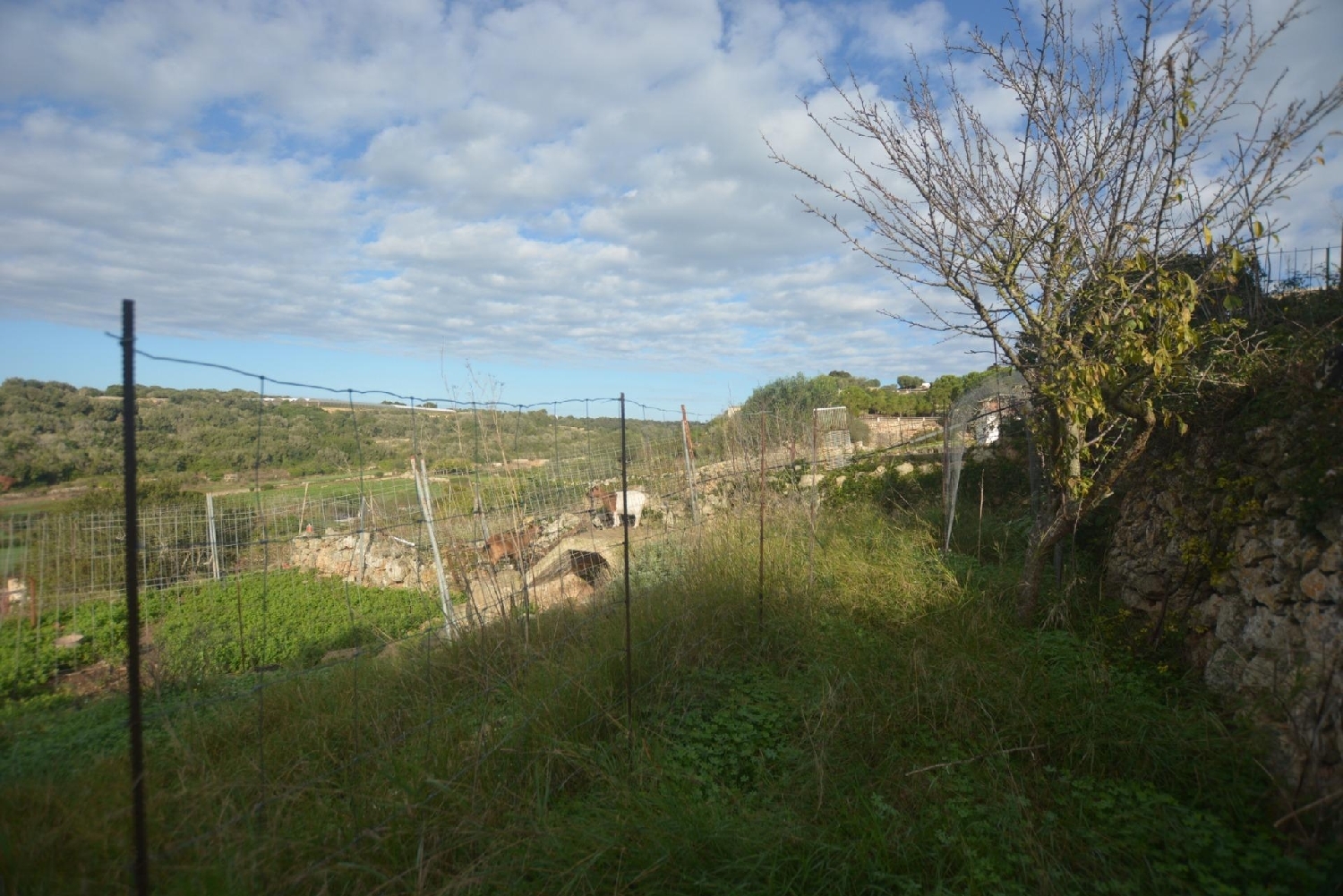  for sale plot Es Migjorn Gran Migjorn Gran (Es) 6