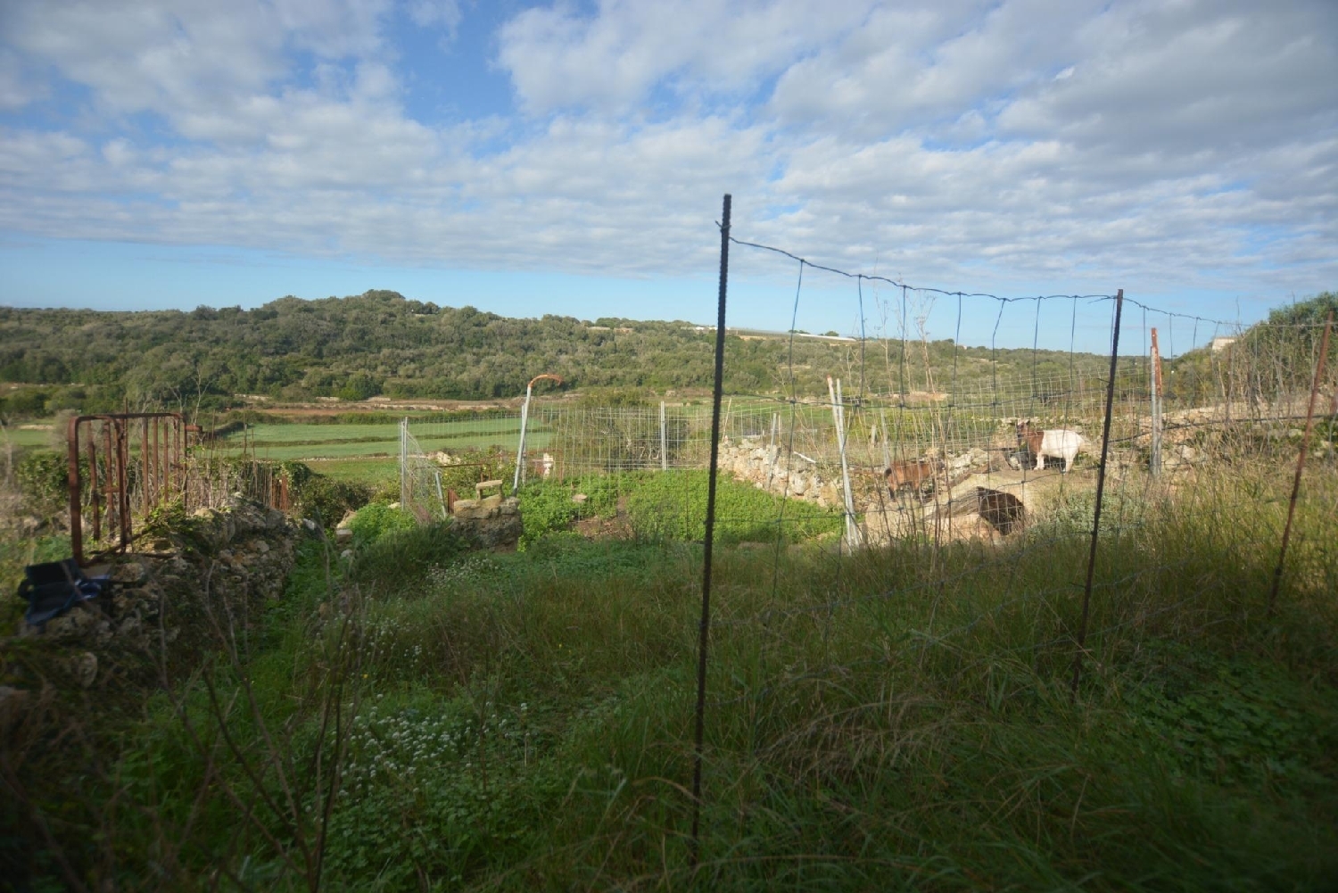  for sale plot Es Migjorn Gran Migjorn Gran (Es) 5