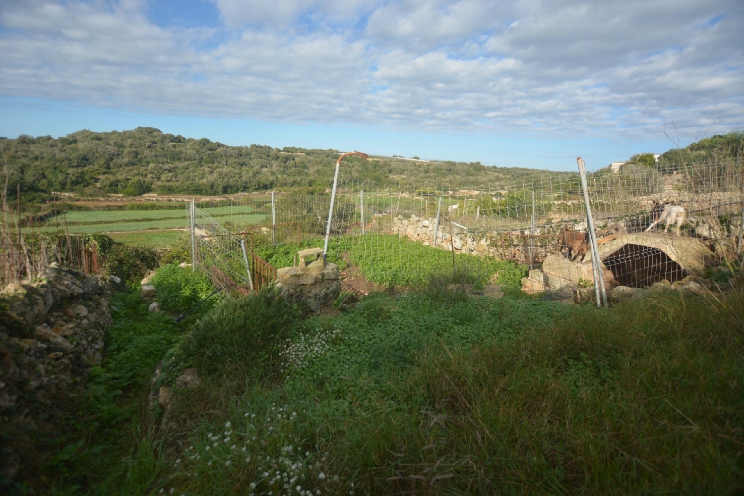  for sale plot Es Migjorn Gran Migjorn Gran (Es) 3