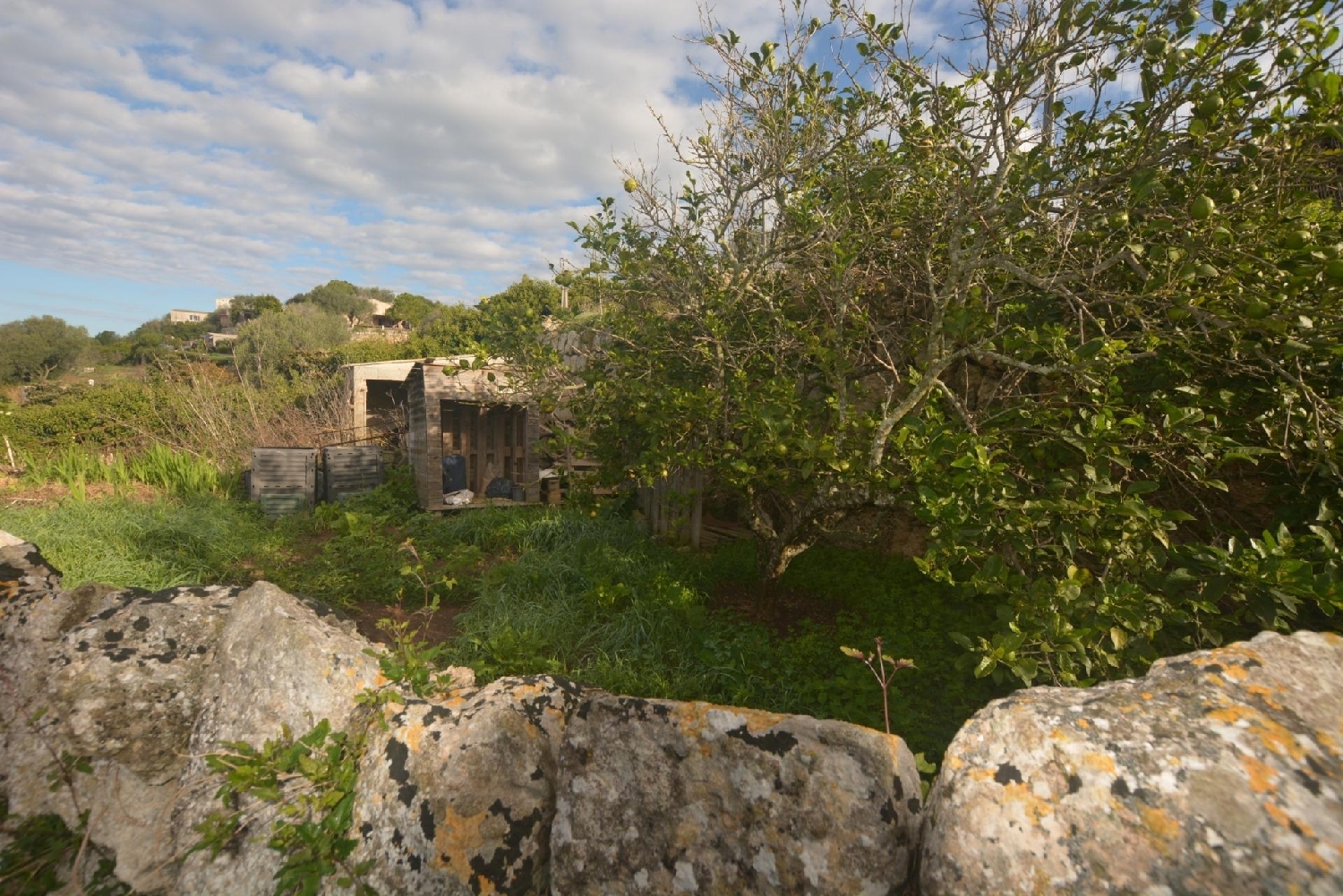  for sale plot Es Migjorn Gran Migjorn Gran (Es) 7