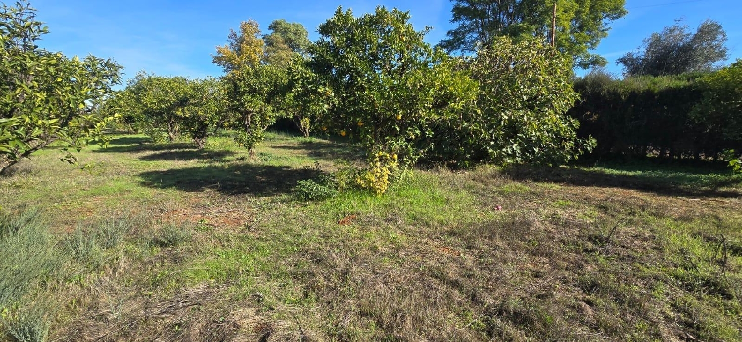  for sale plot Espartinas Metropolitana De Sevilla 8