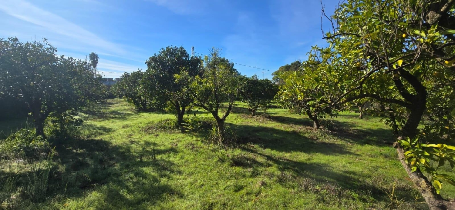  for sale plot Espartinas Metropolitana De Sevilla 3