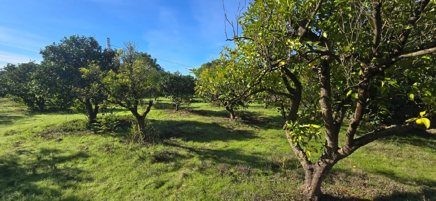  for sale plot Espartinas Metropolitana De Sevilla 1