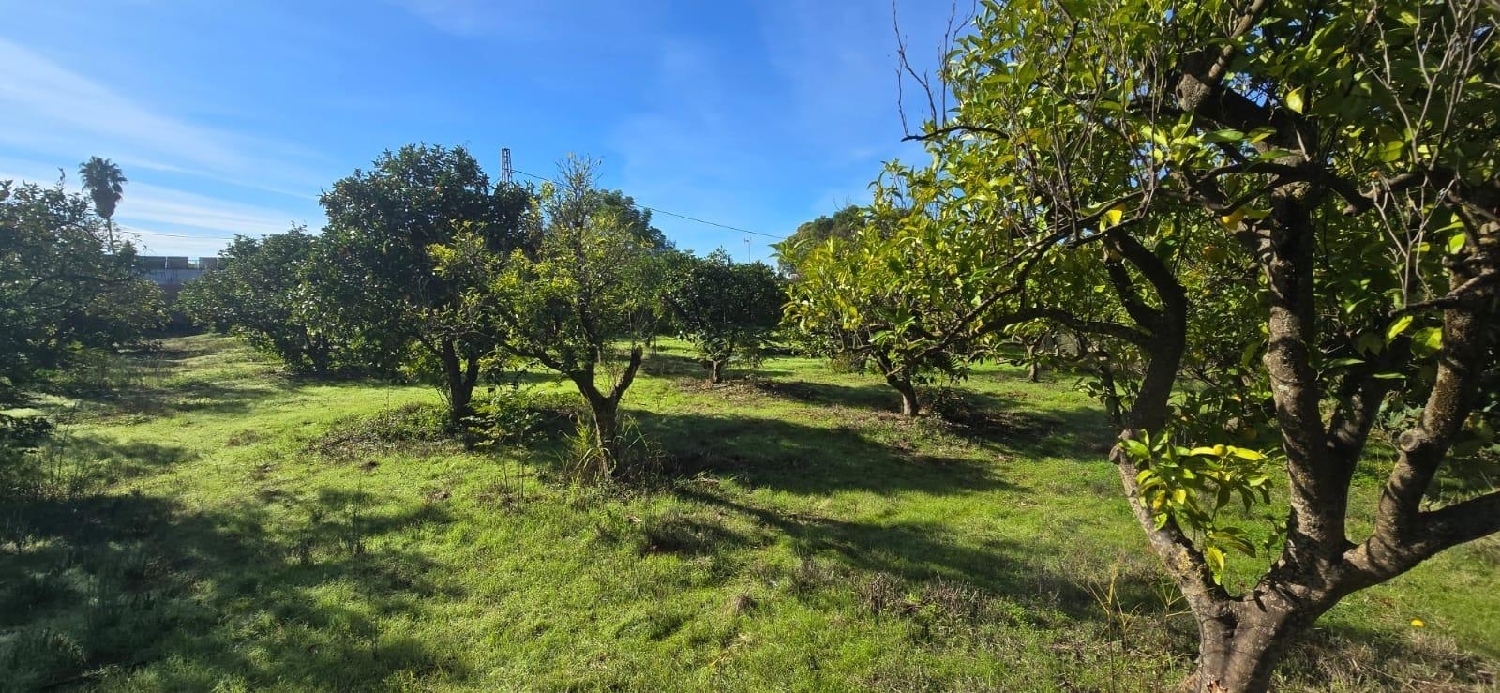  for sale plot Espartinas Metropolitana De Sevilla 2