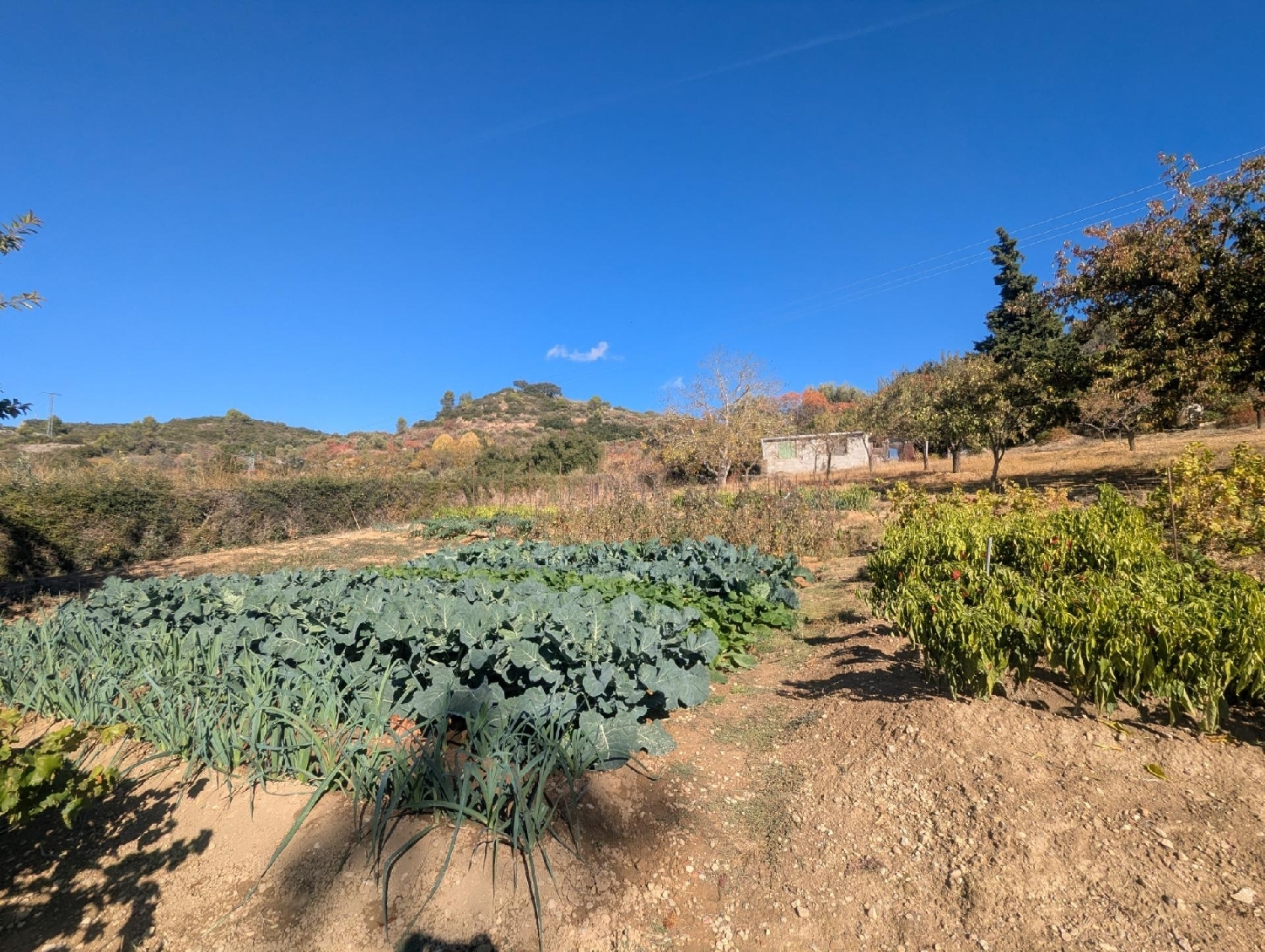  for sale plot Estella Tierra Estella 5